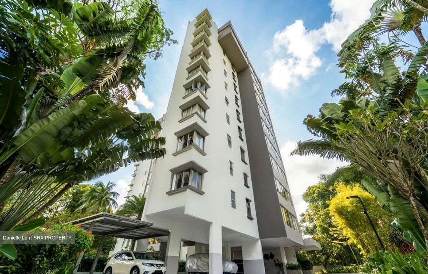 Nassim Regency (D10), Condominium #618250691